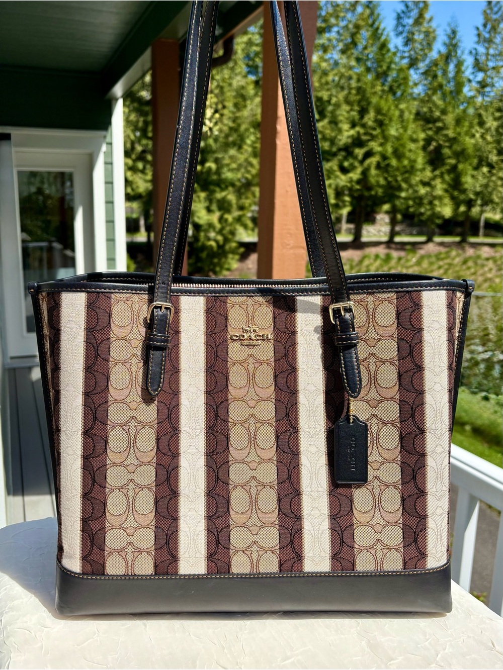 COACH Large Mollie Tote Bag
In Signature Jacquard With Stripes C4008 - Picture 12 of 14